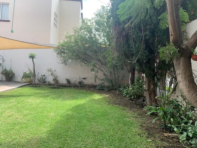 image-0