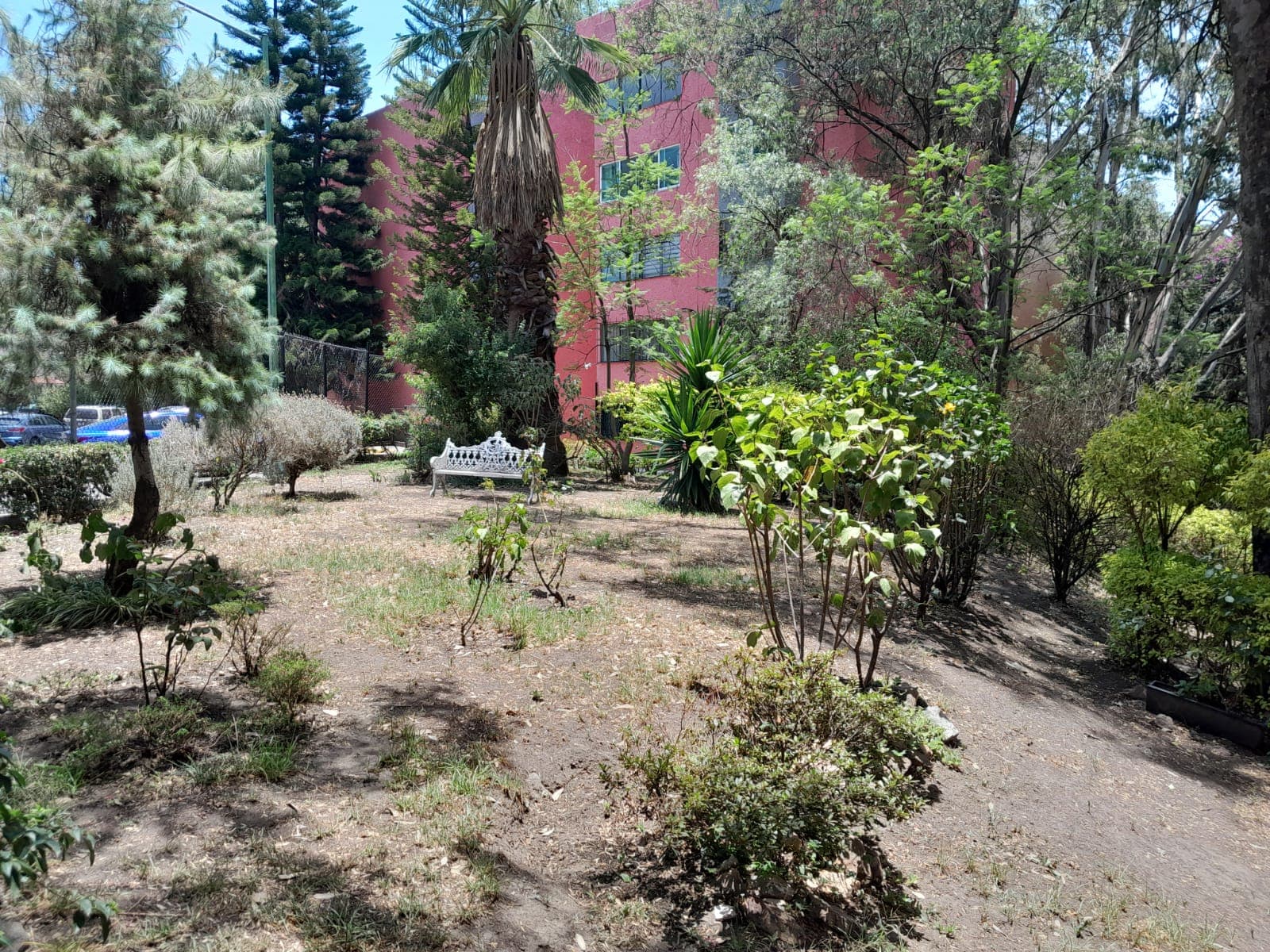 image-0