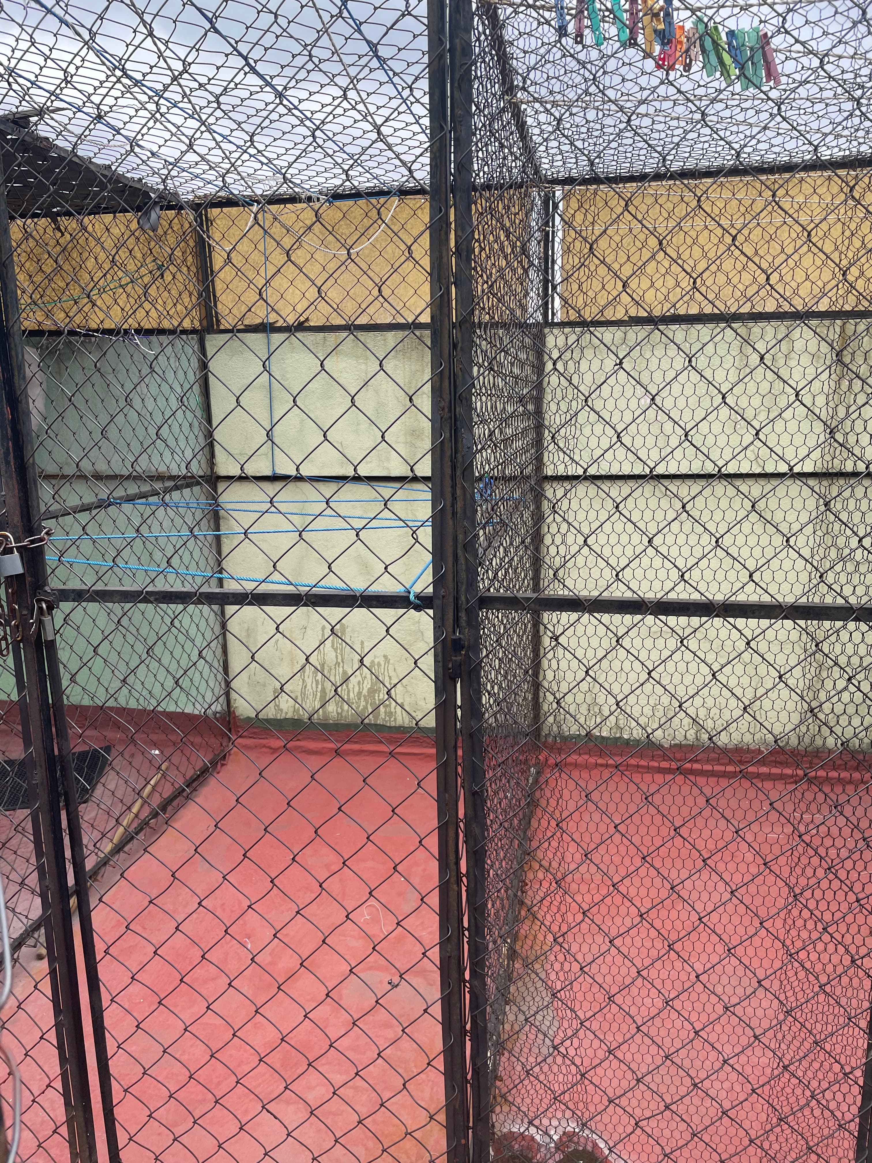 image-6
