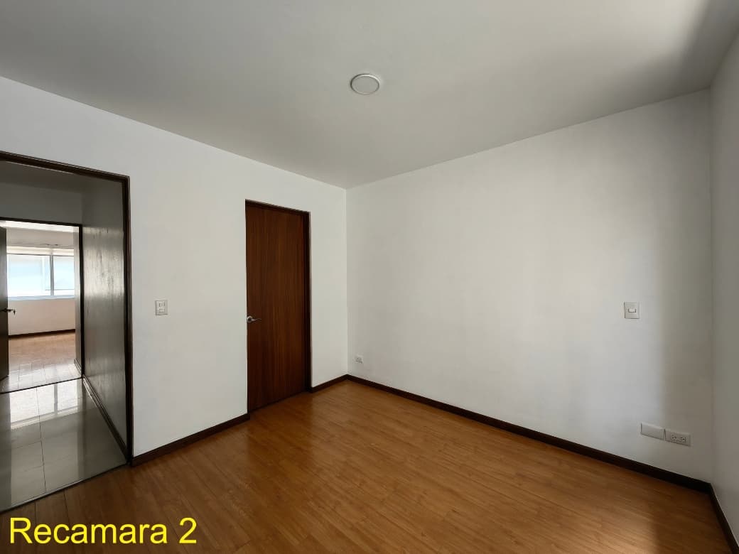 image-19