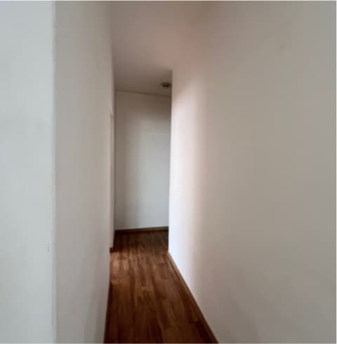 image-19