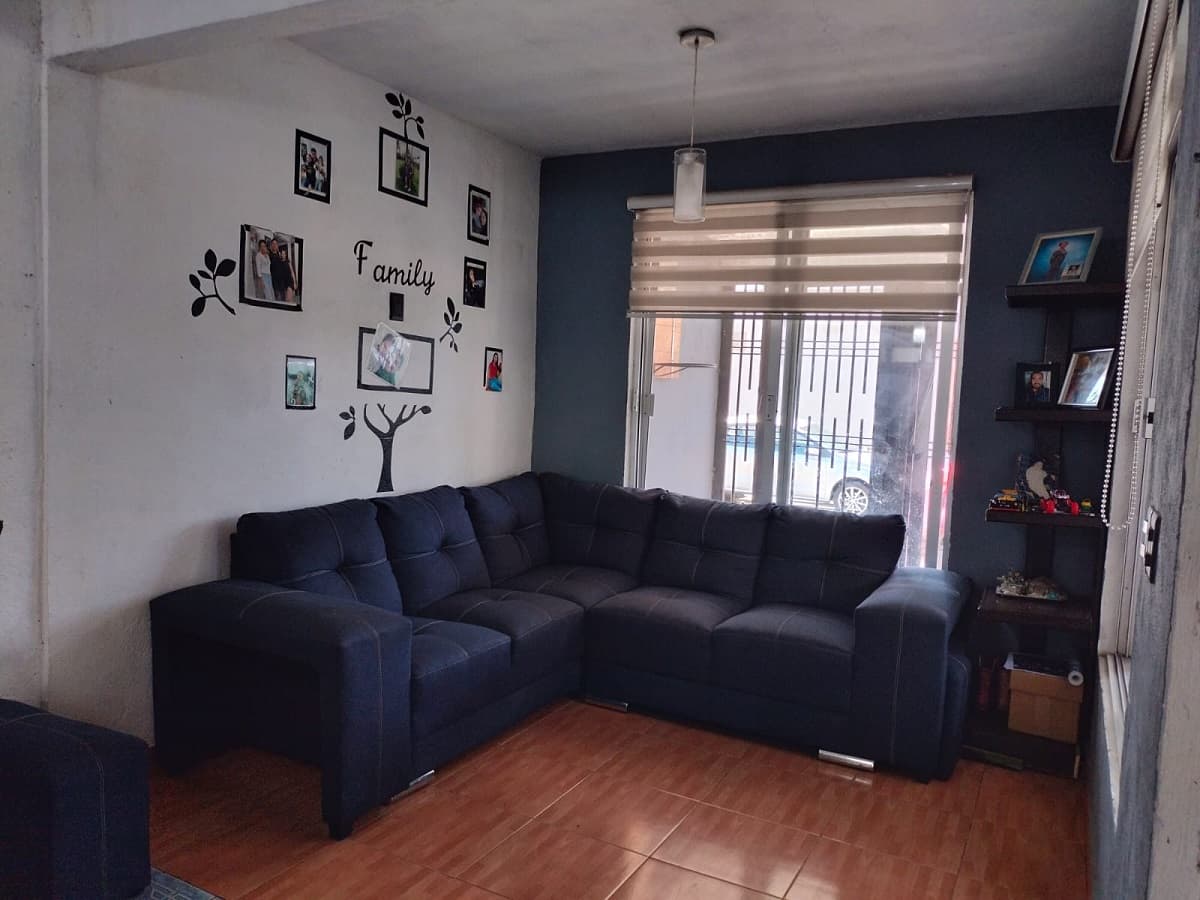 image-19