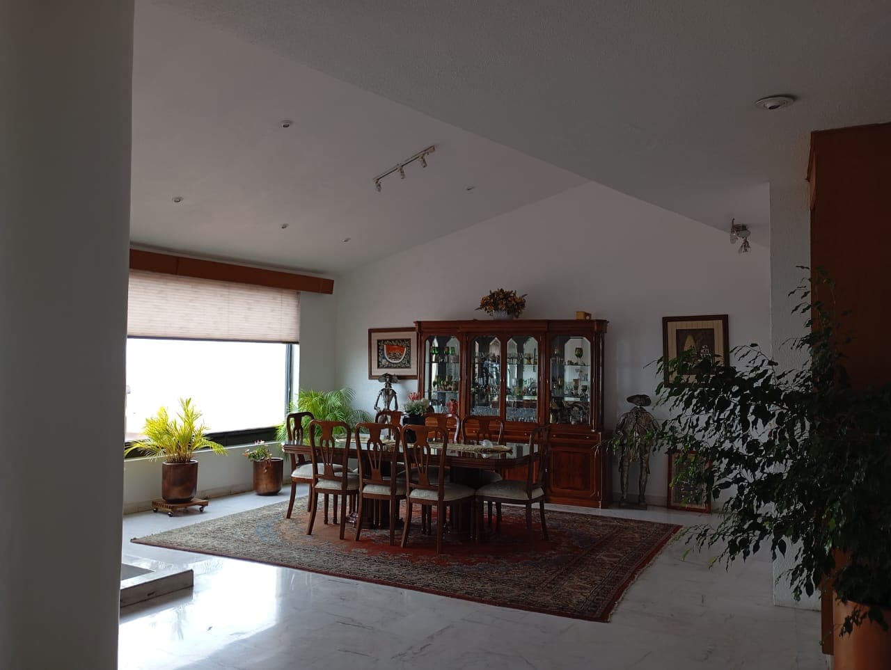 image-19