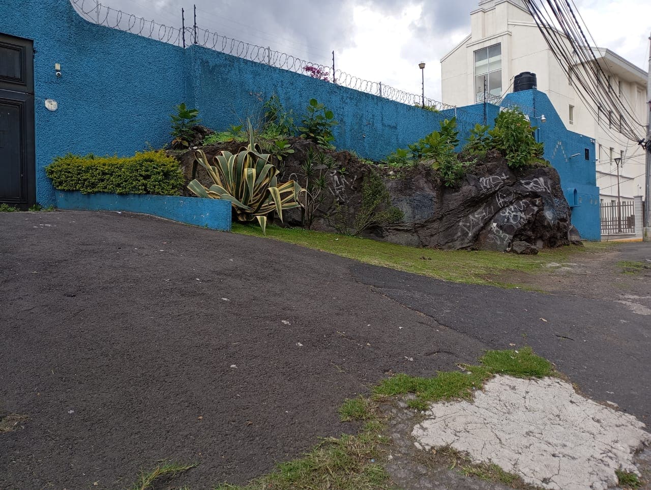 image-7