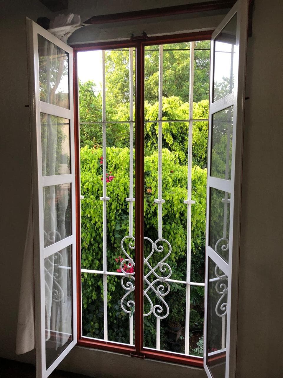 image-19