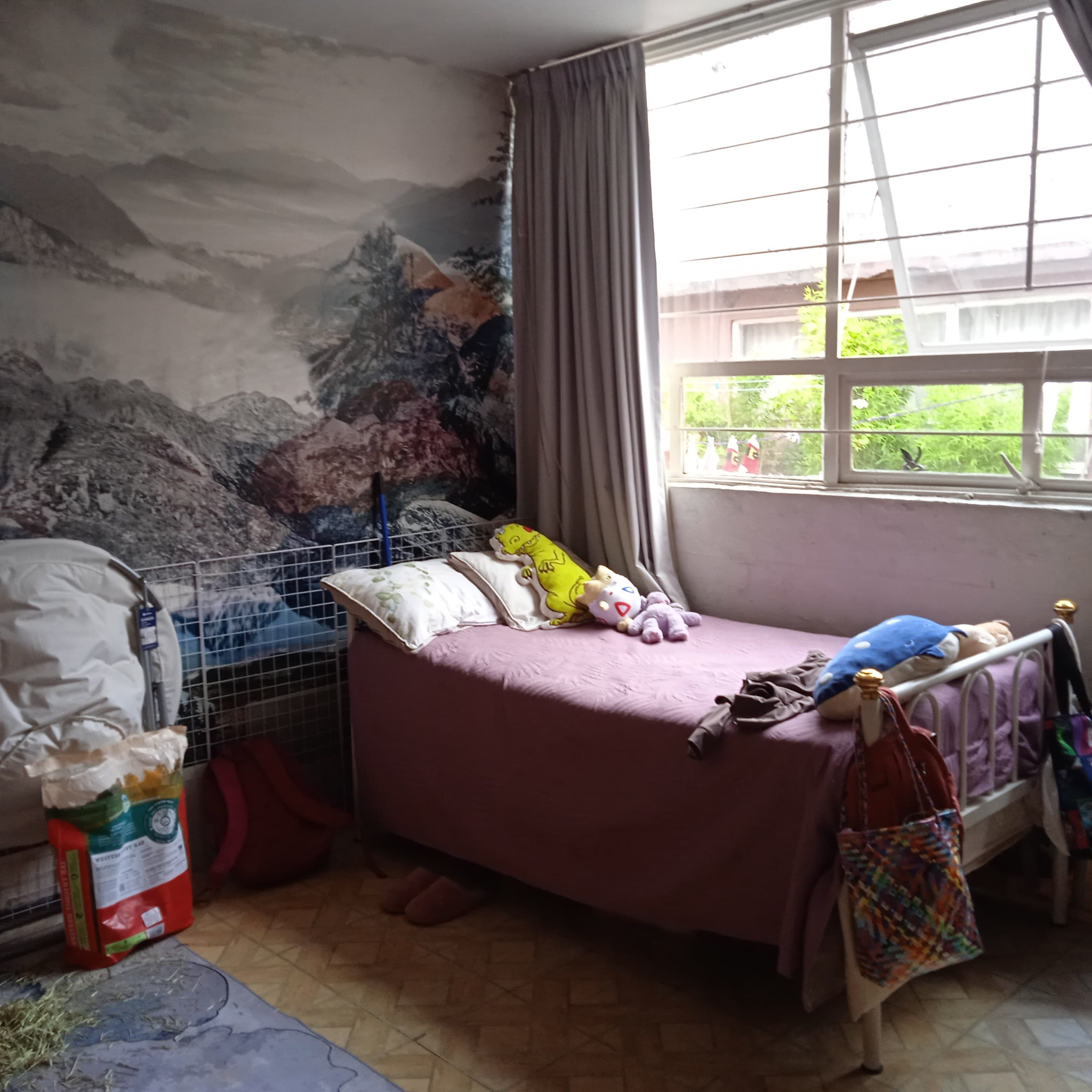 image-19