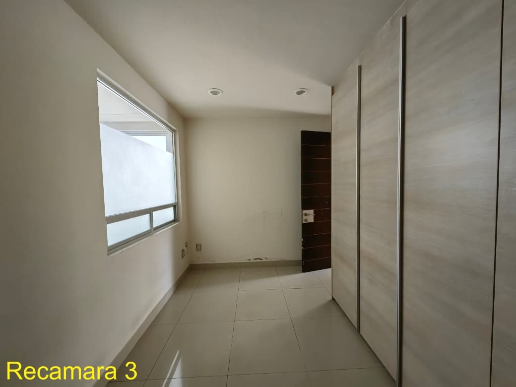 image-19