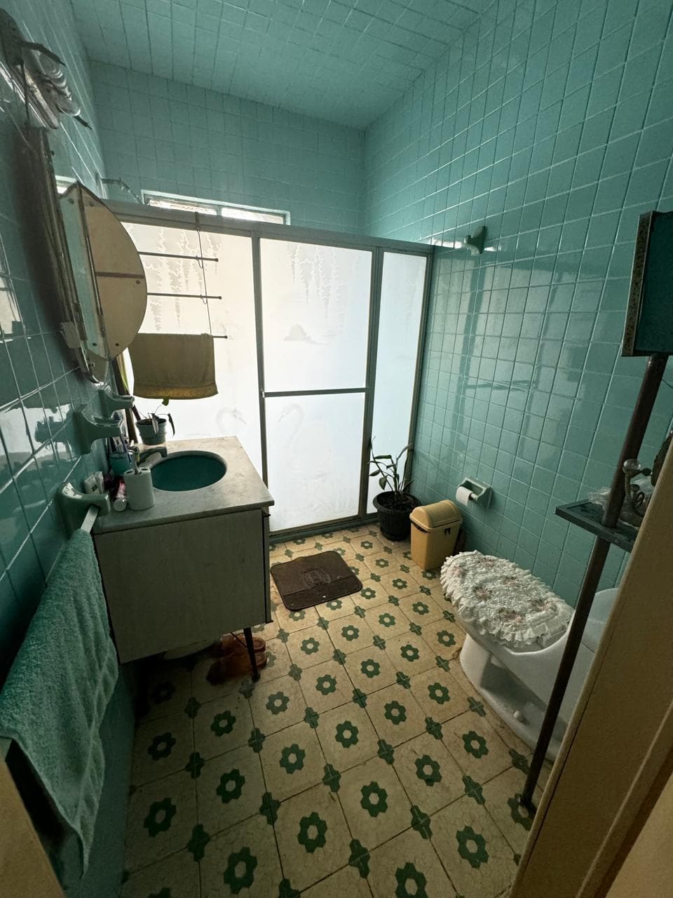 image-7