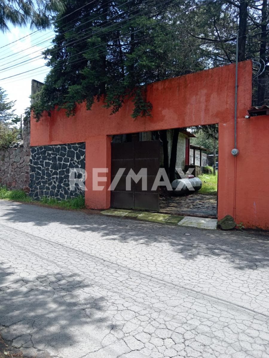 image-19