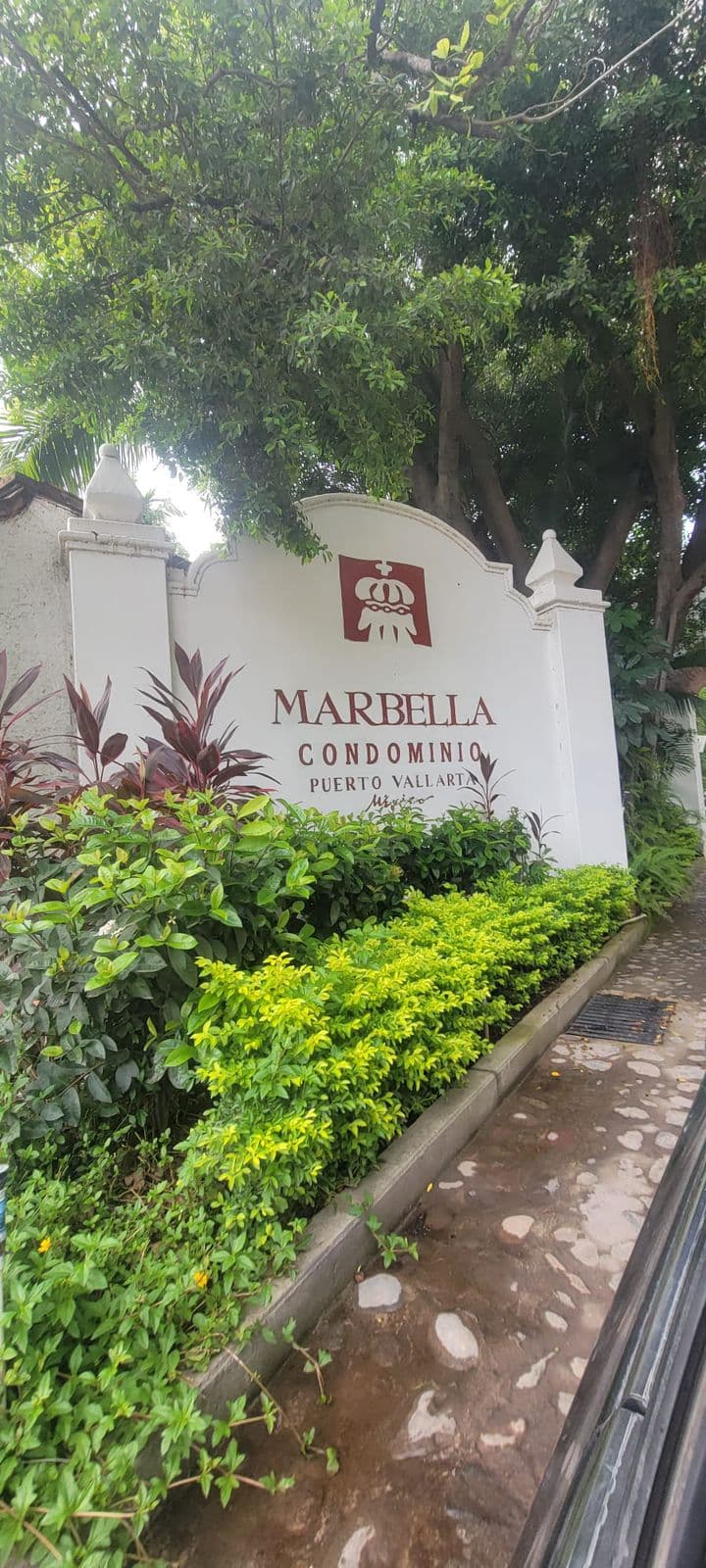 image-21