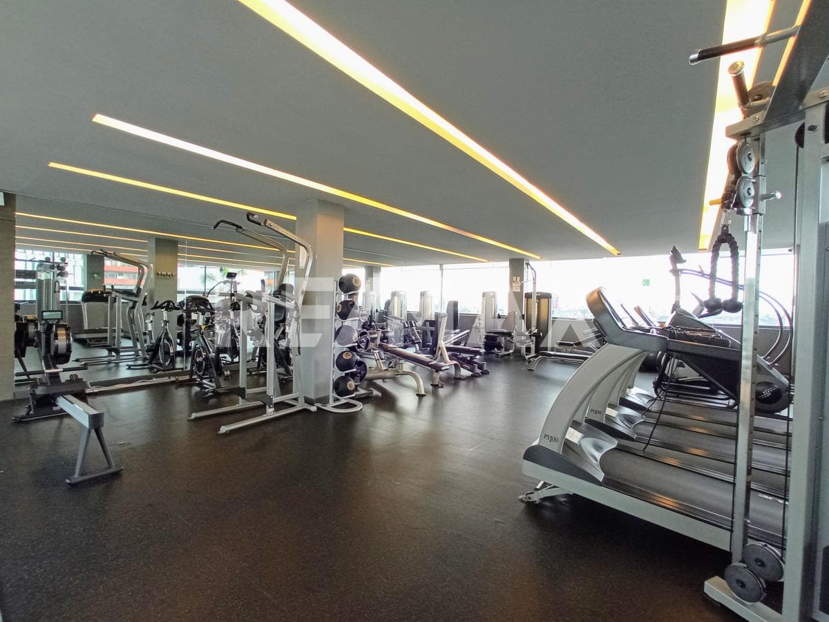 image-19