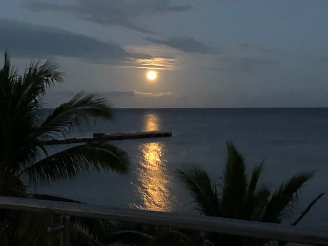 image-26