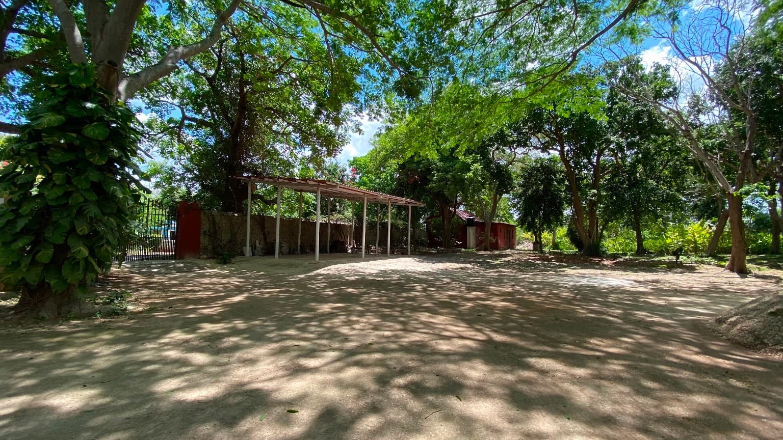 image-45
