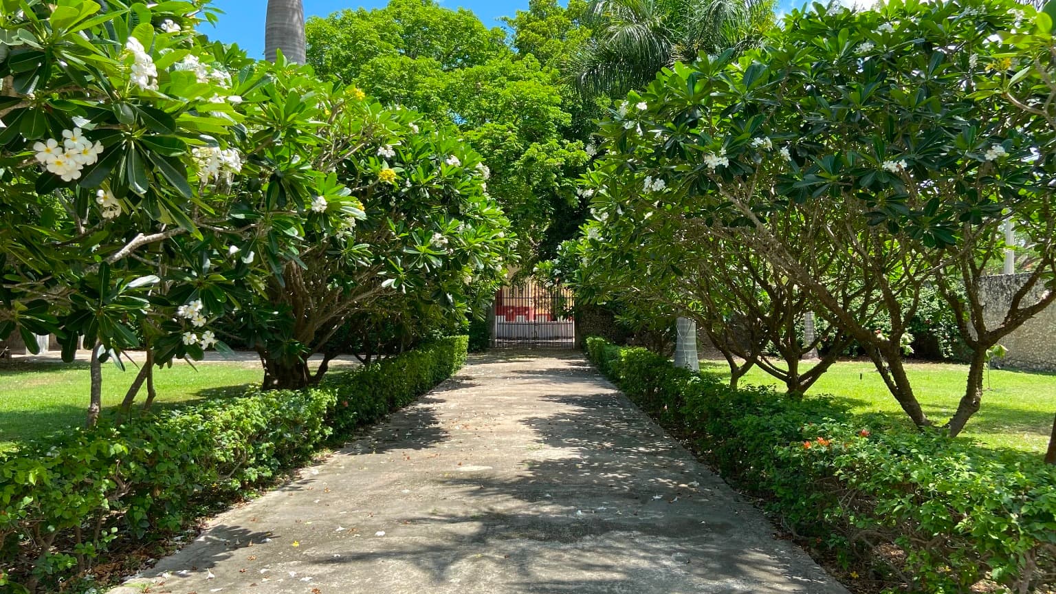 image-9