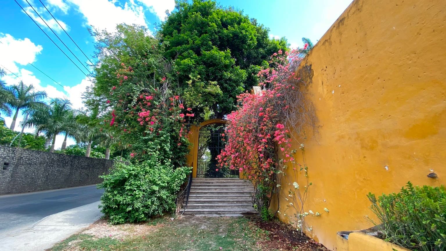 image-5