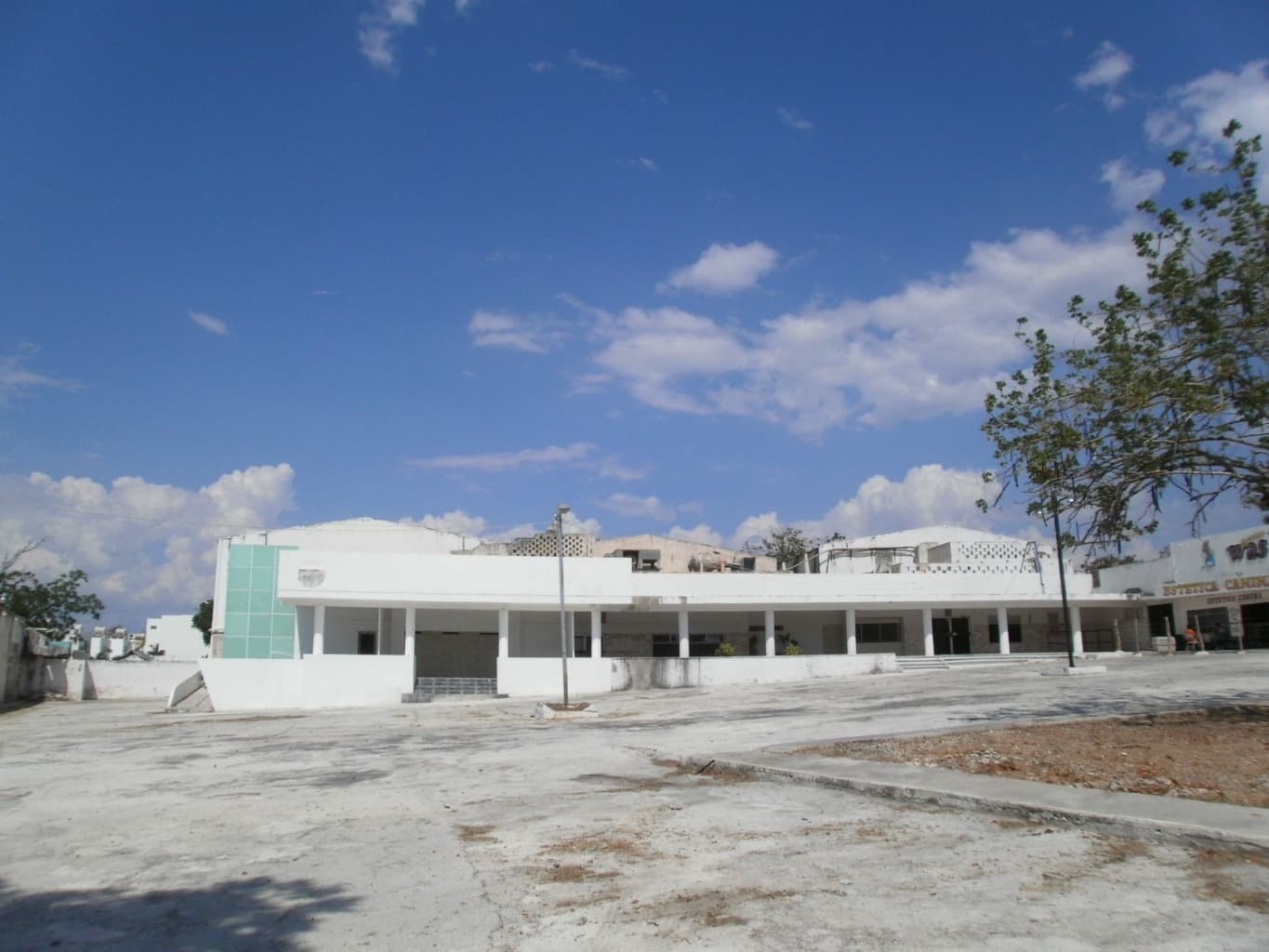 image-5