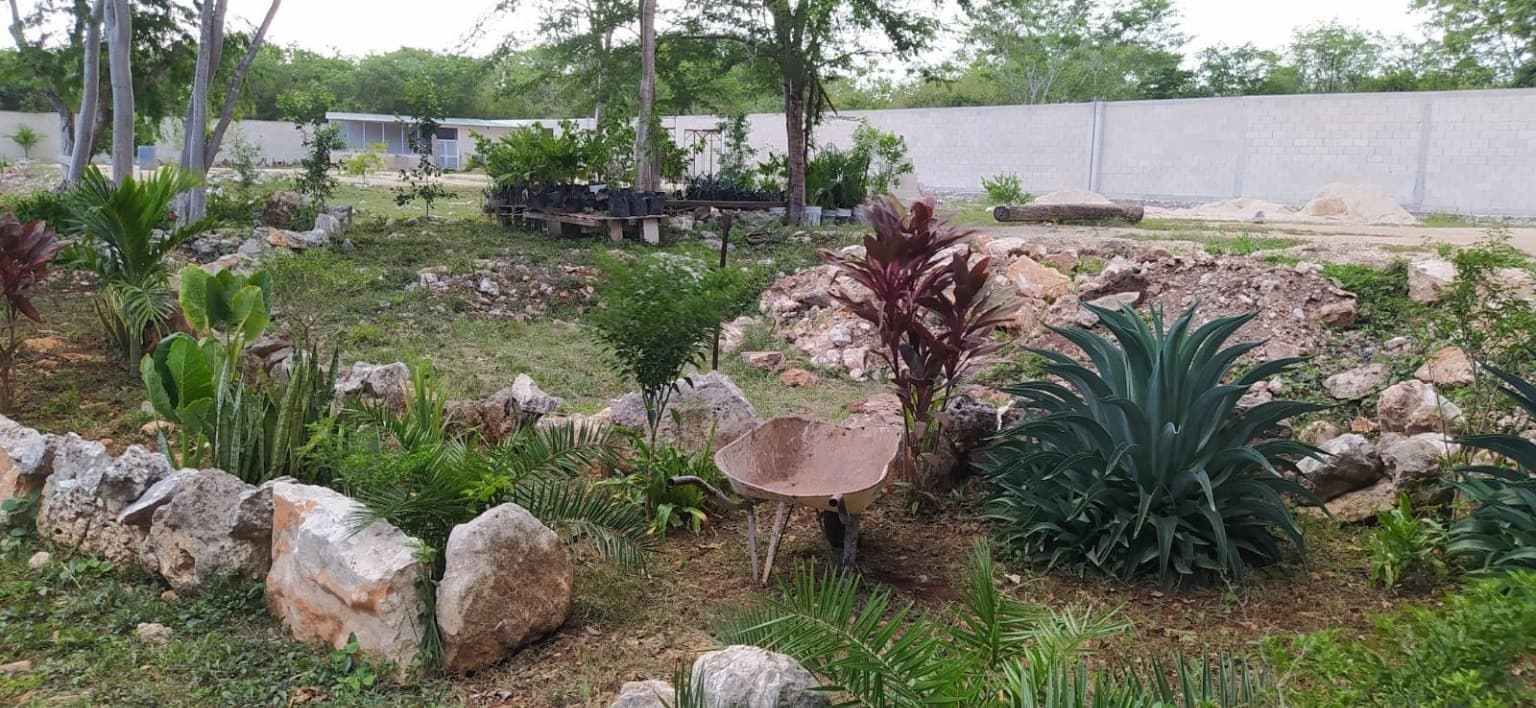 image-14