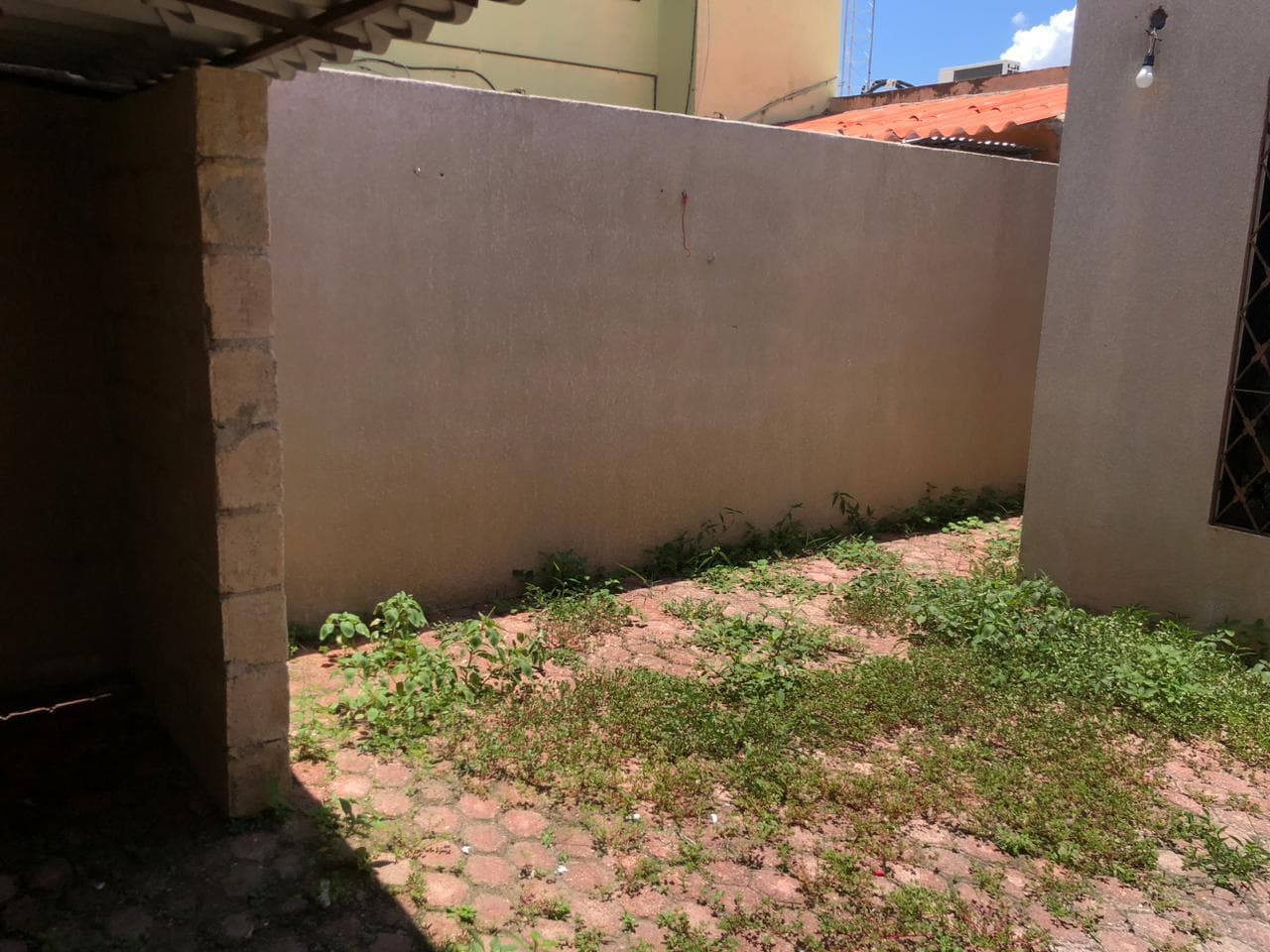 image-19