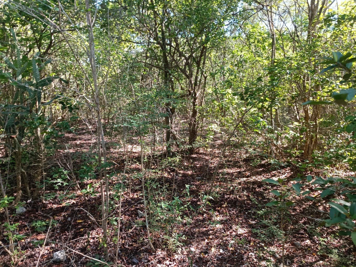 image-5