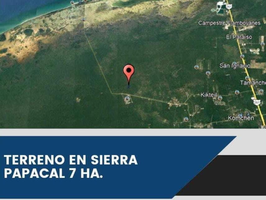 image-0