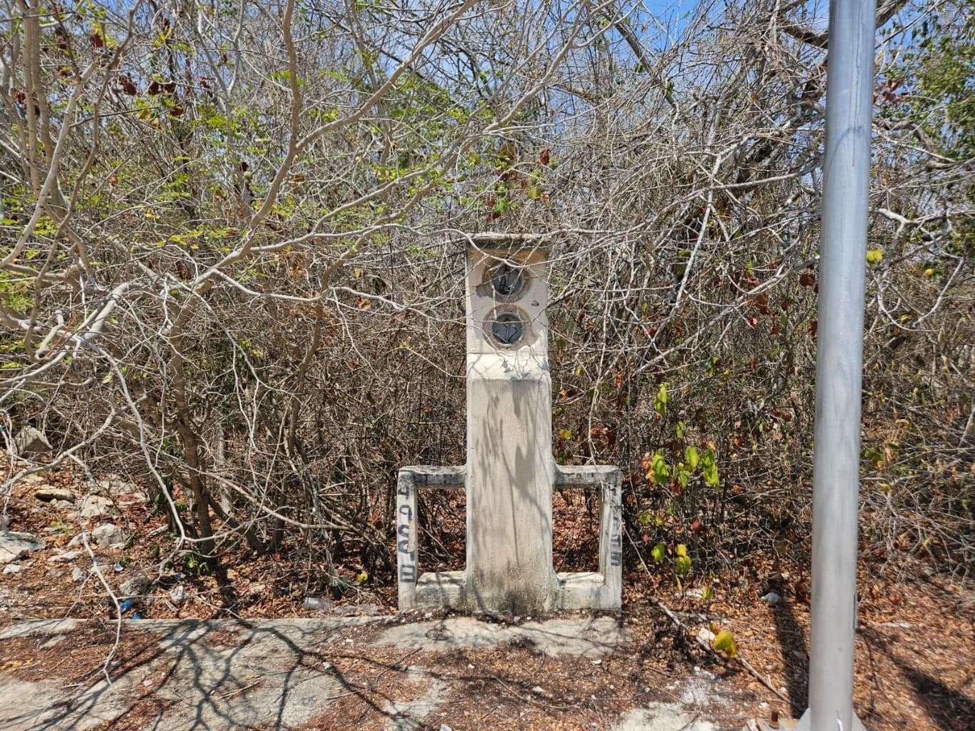 image-2
