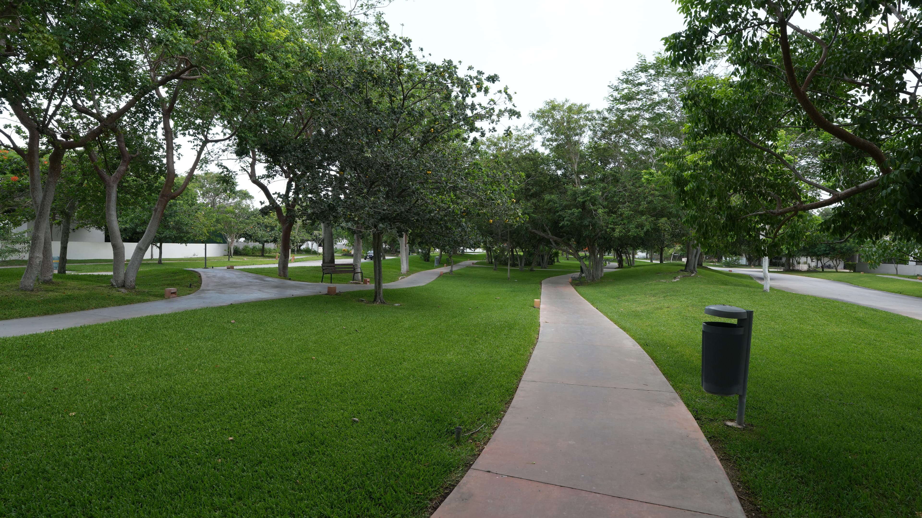image-26