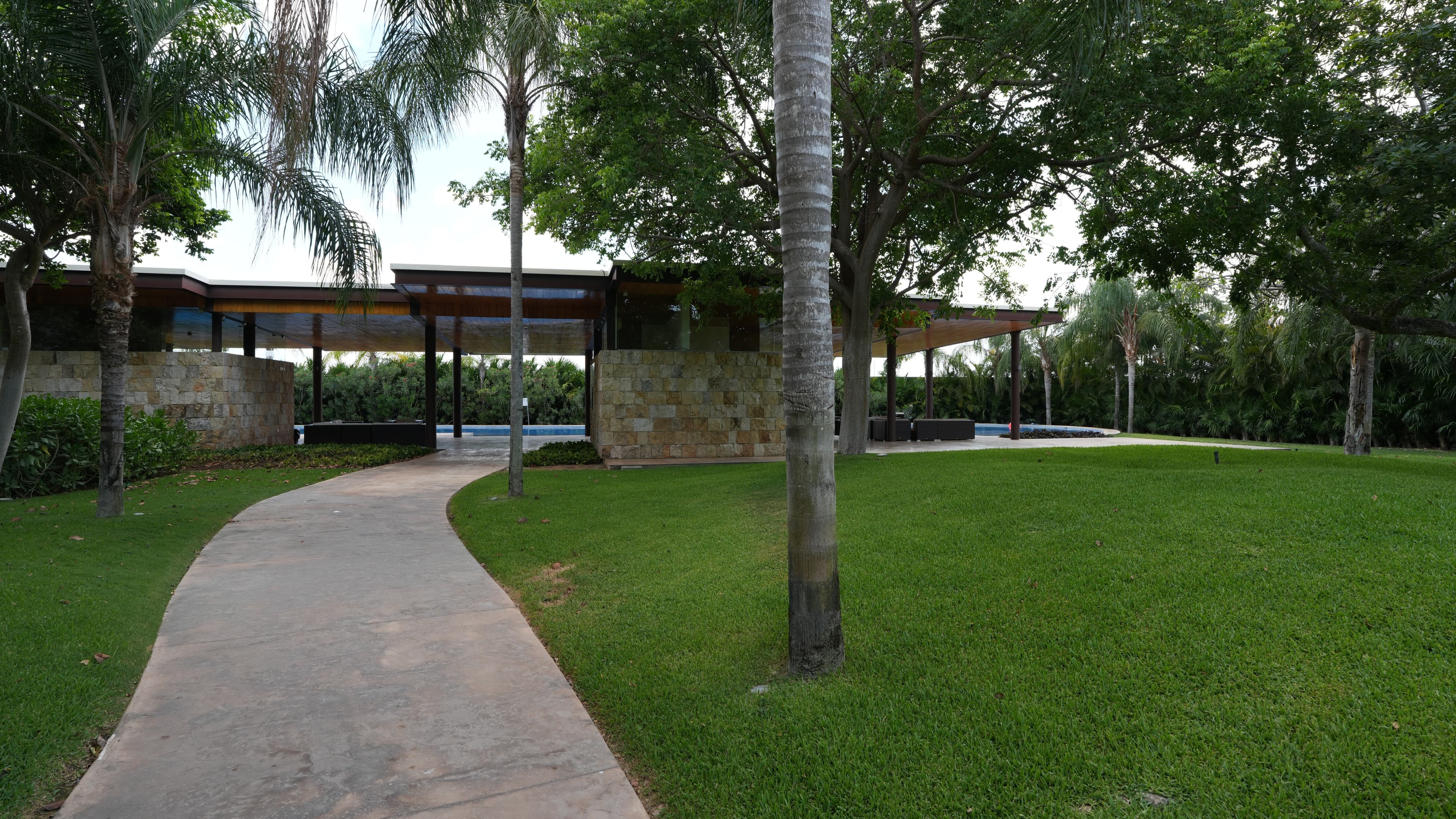 image-19