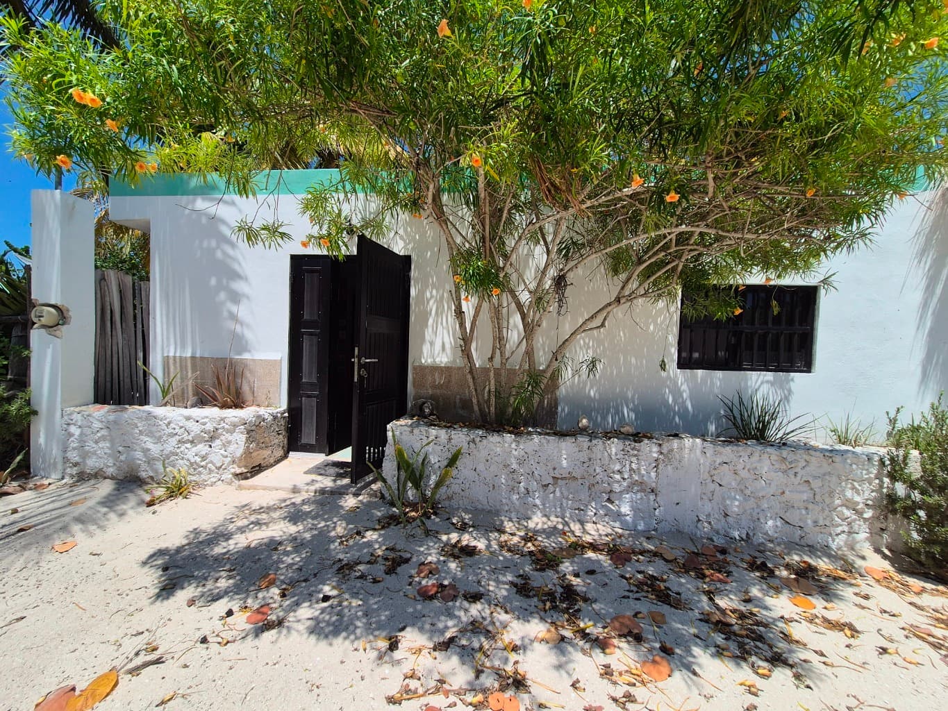 image-8