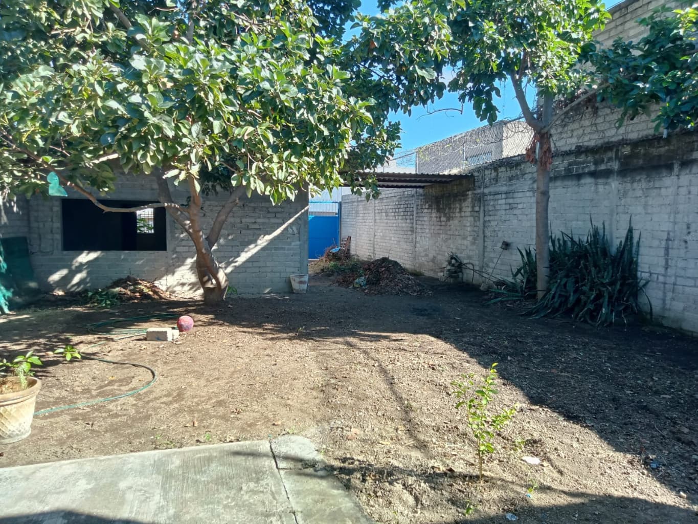 image-6