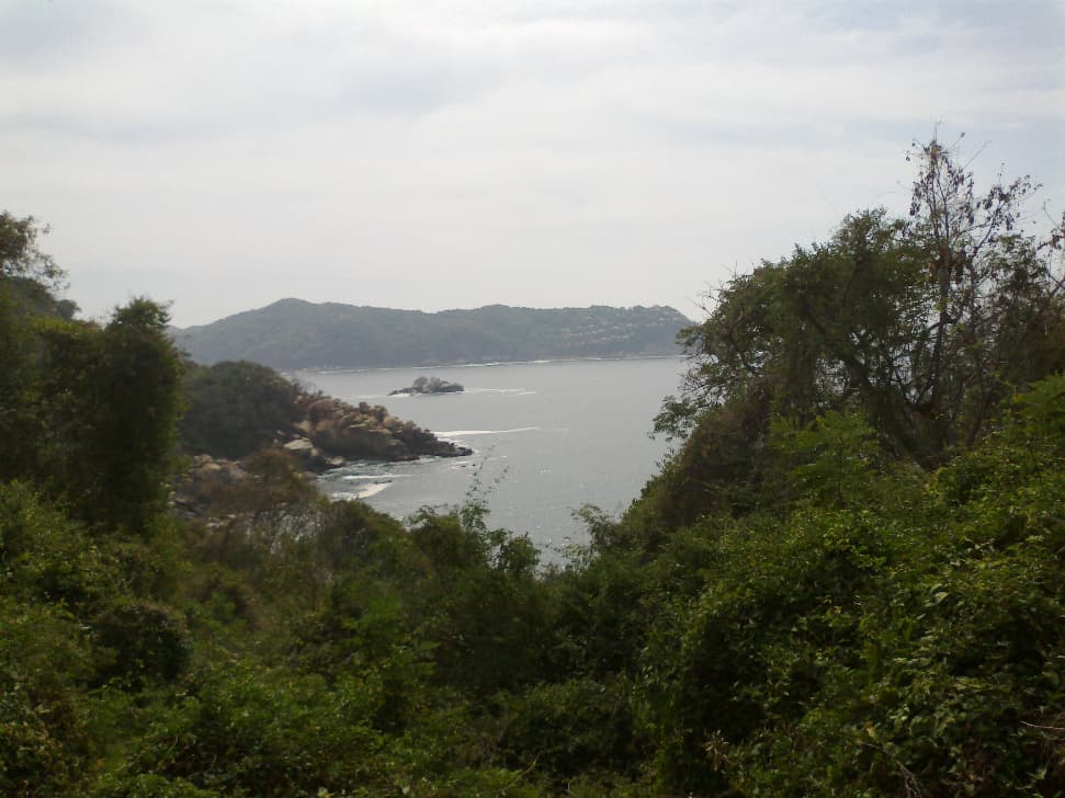 image-2