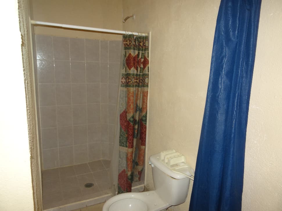 image-19