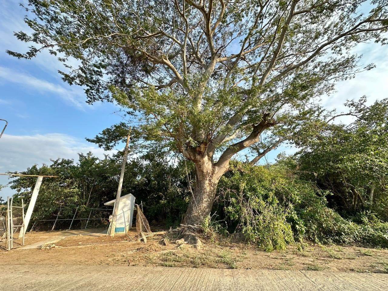 image-15