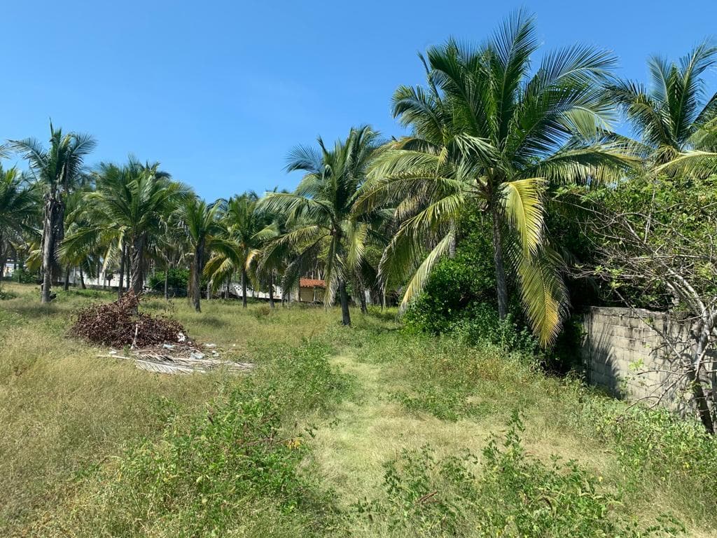image-7