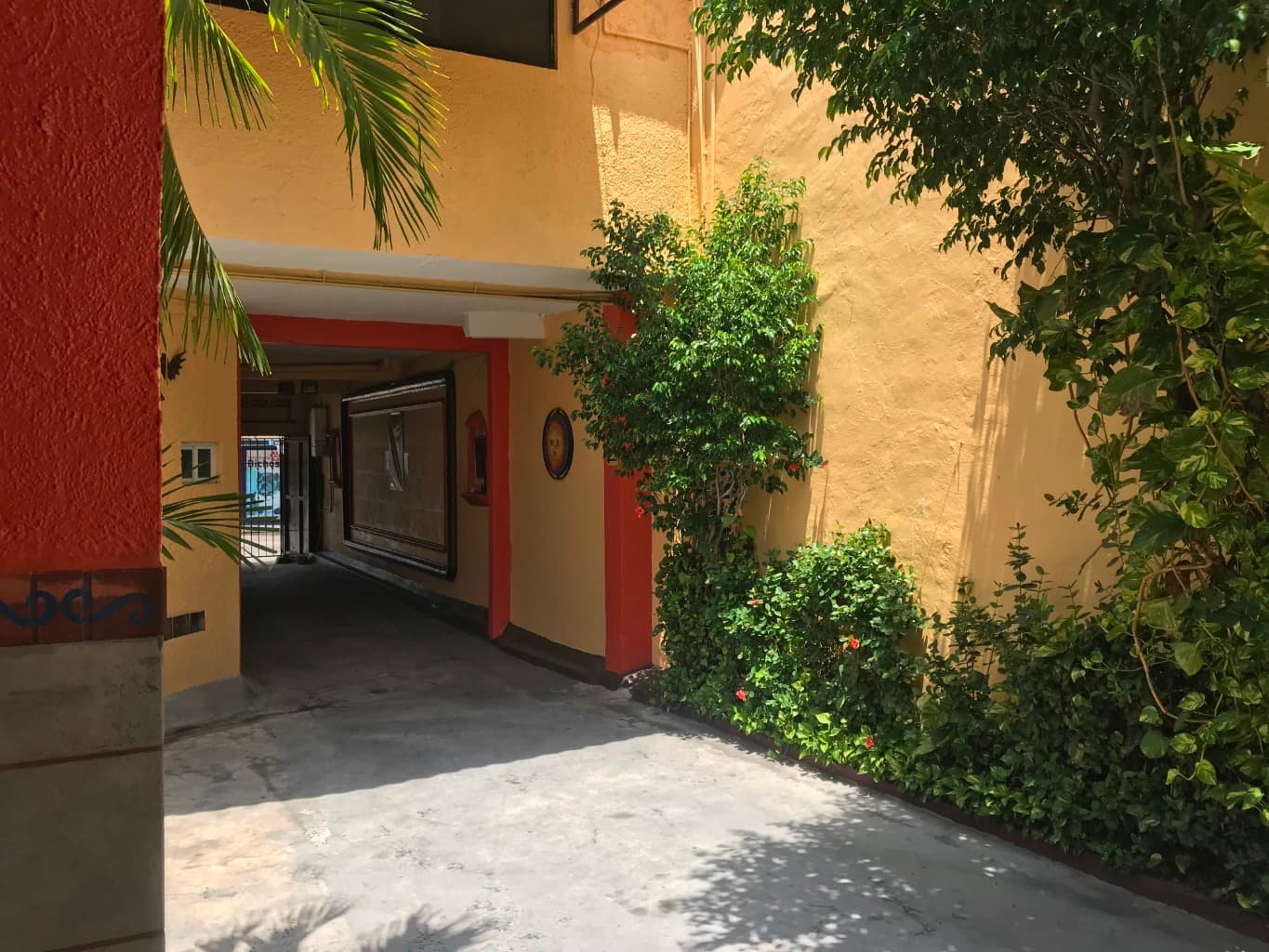 image-5