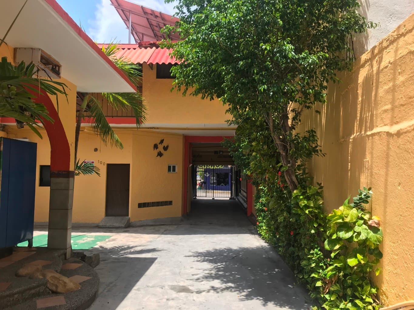 image-4