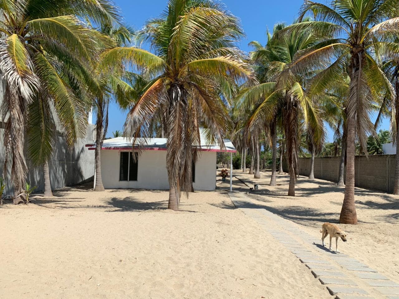 image-10