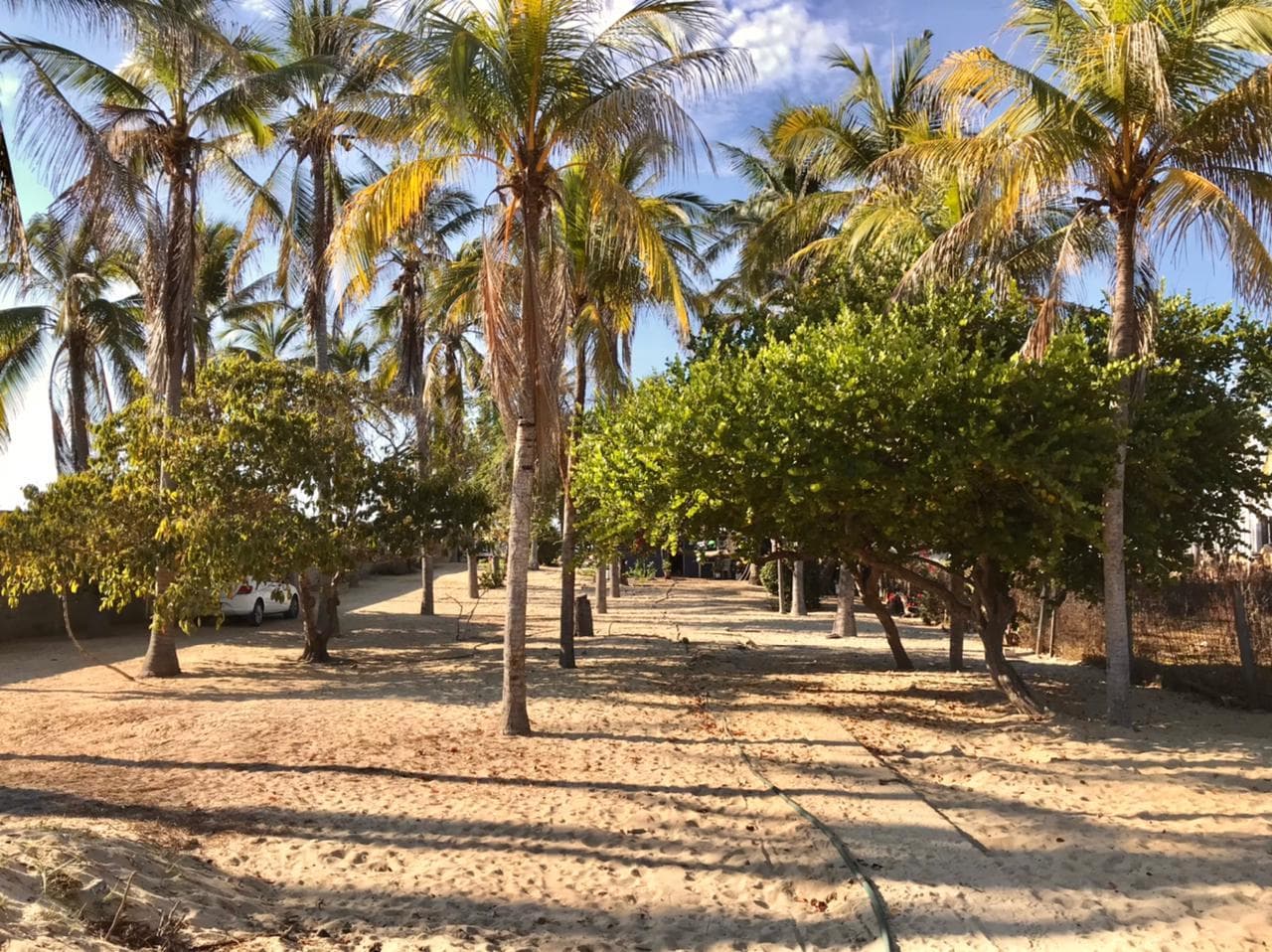 image-18