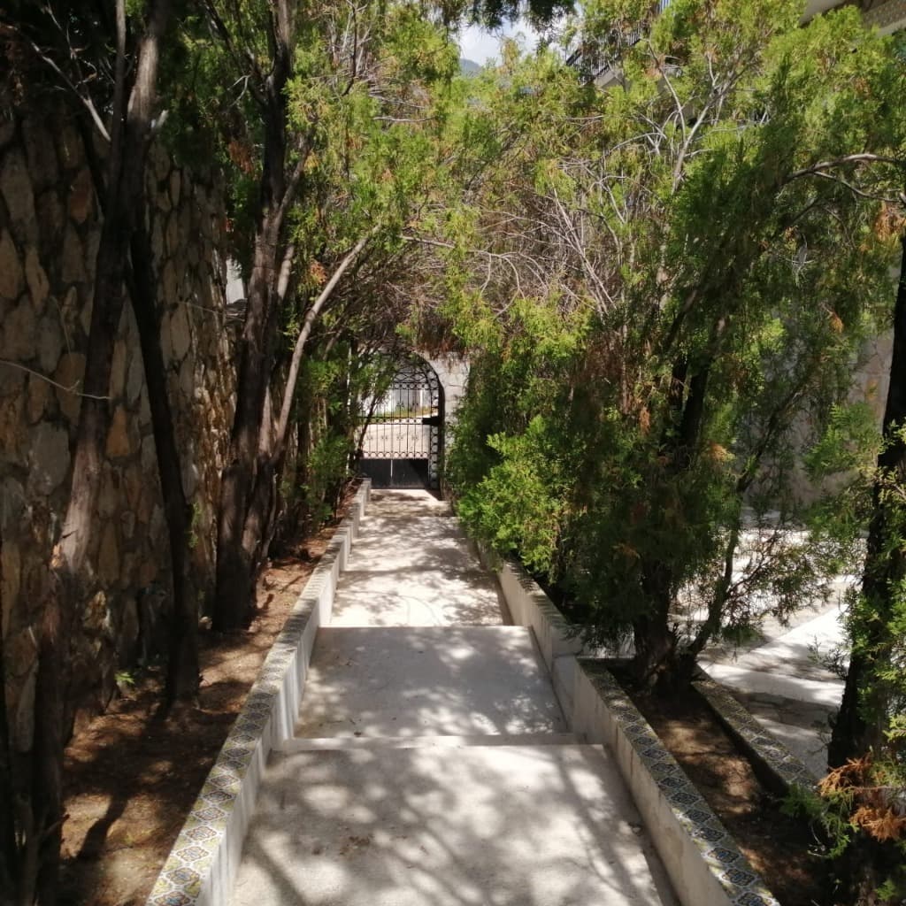 image-2