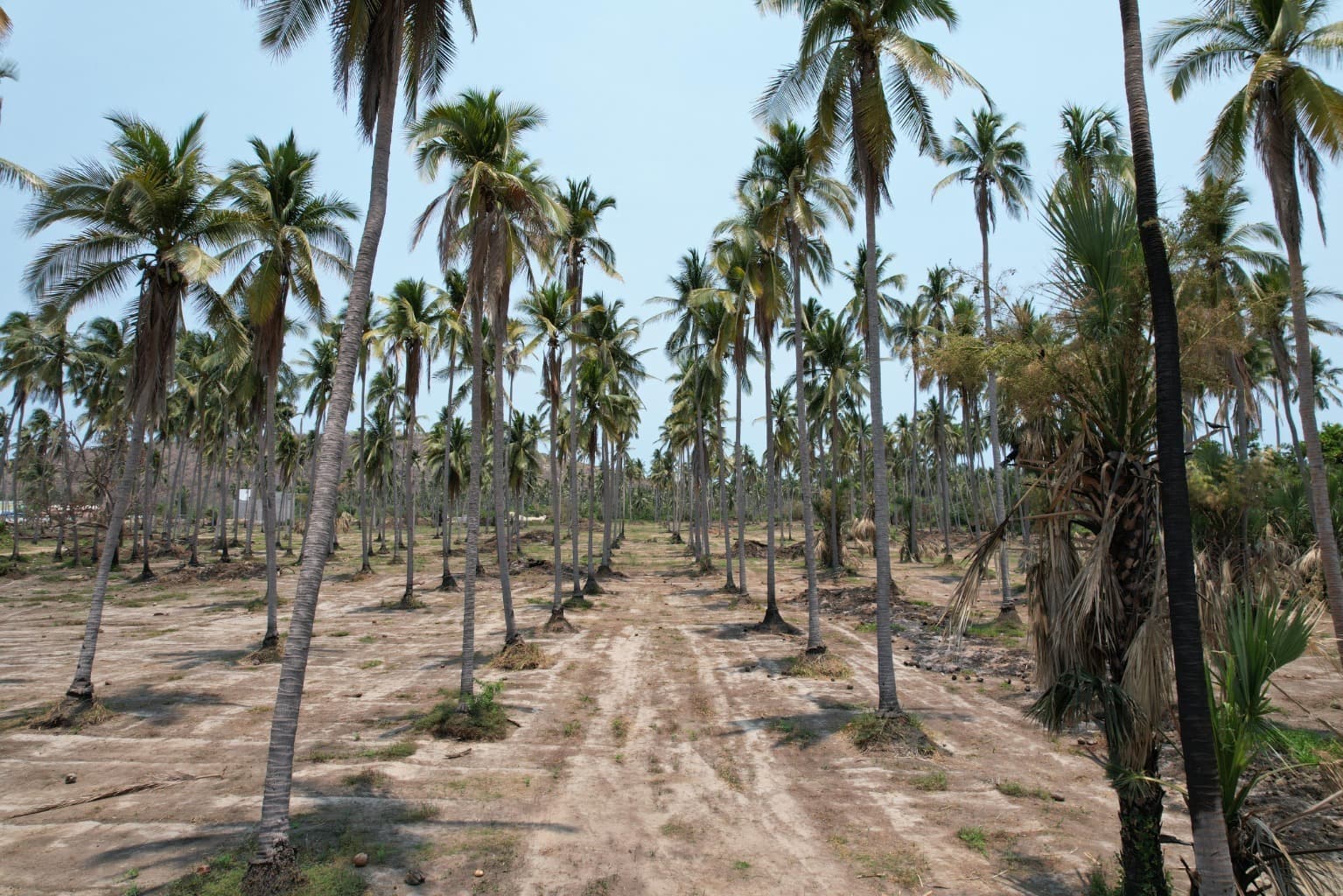 image-4