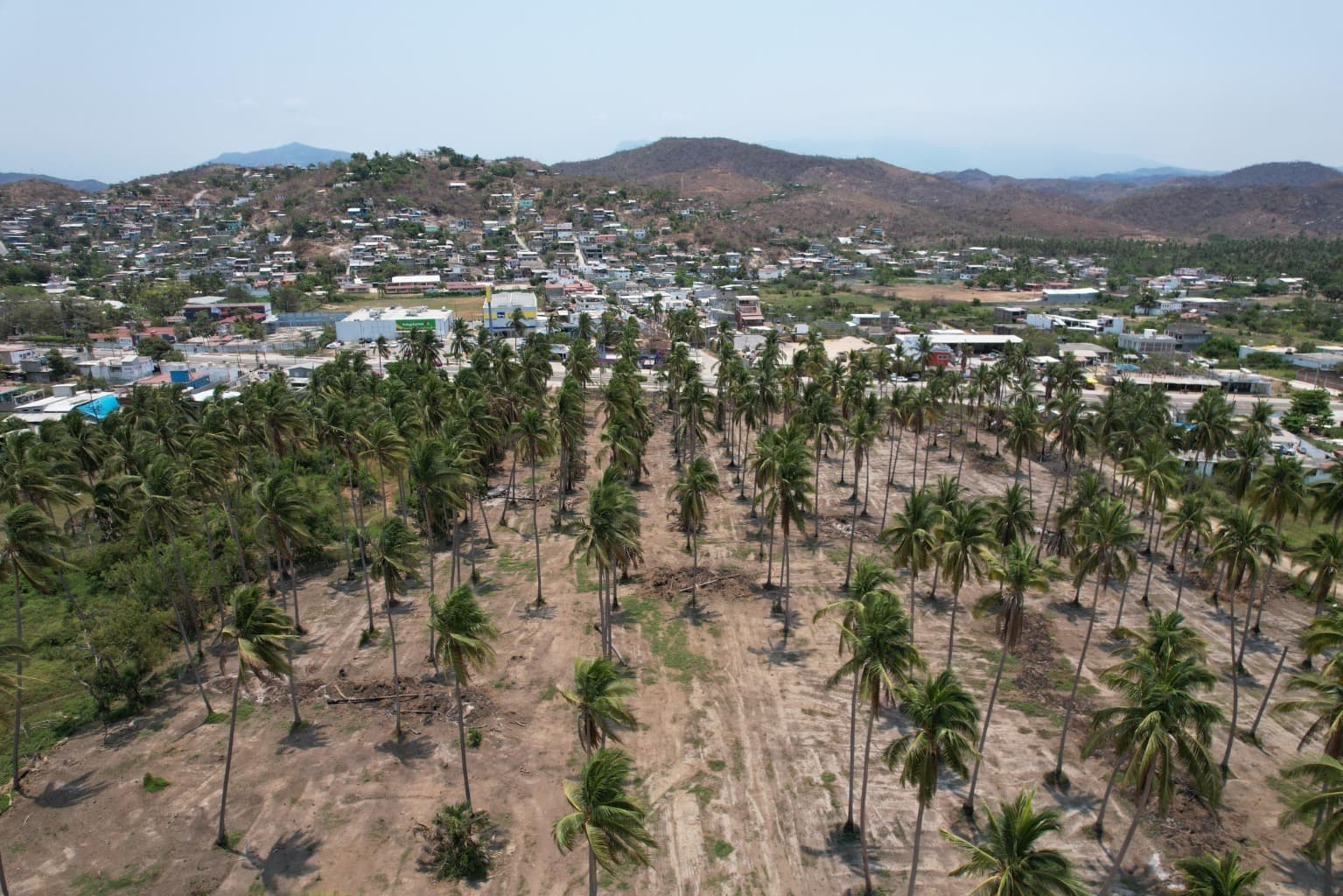 image-3