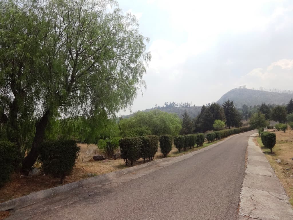 image-18