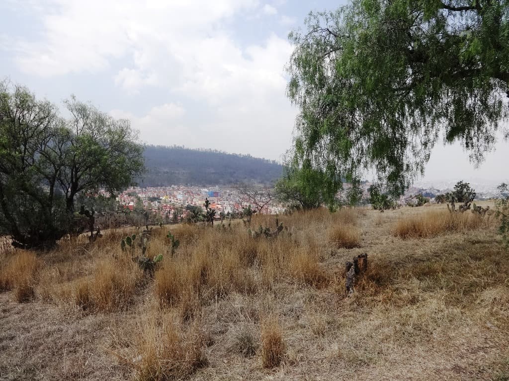 image-17