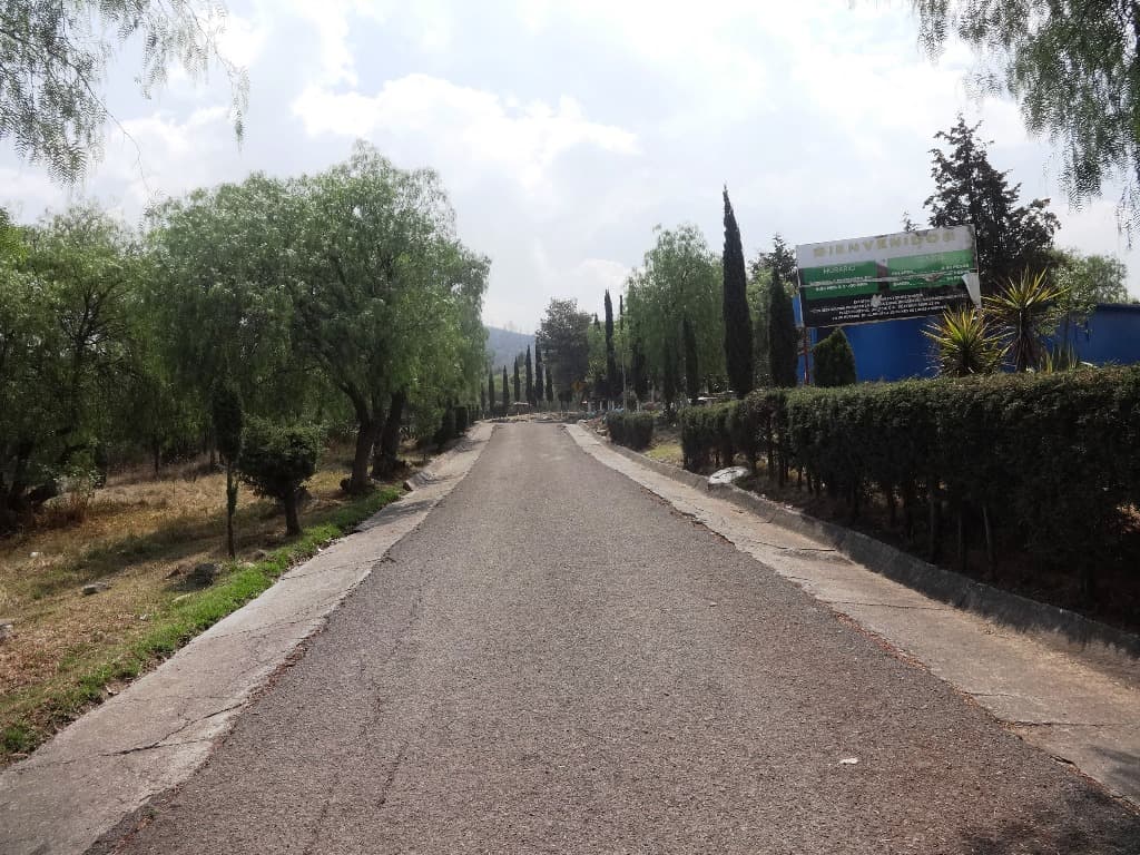 image-19