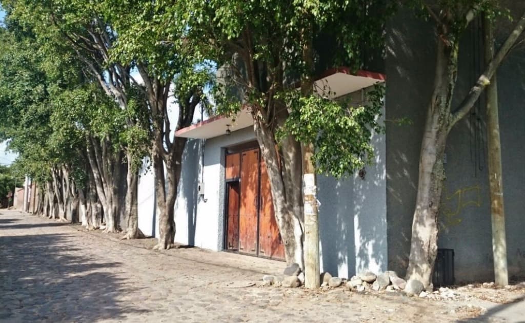 image-3