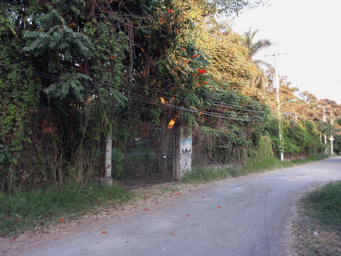 image-7