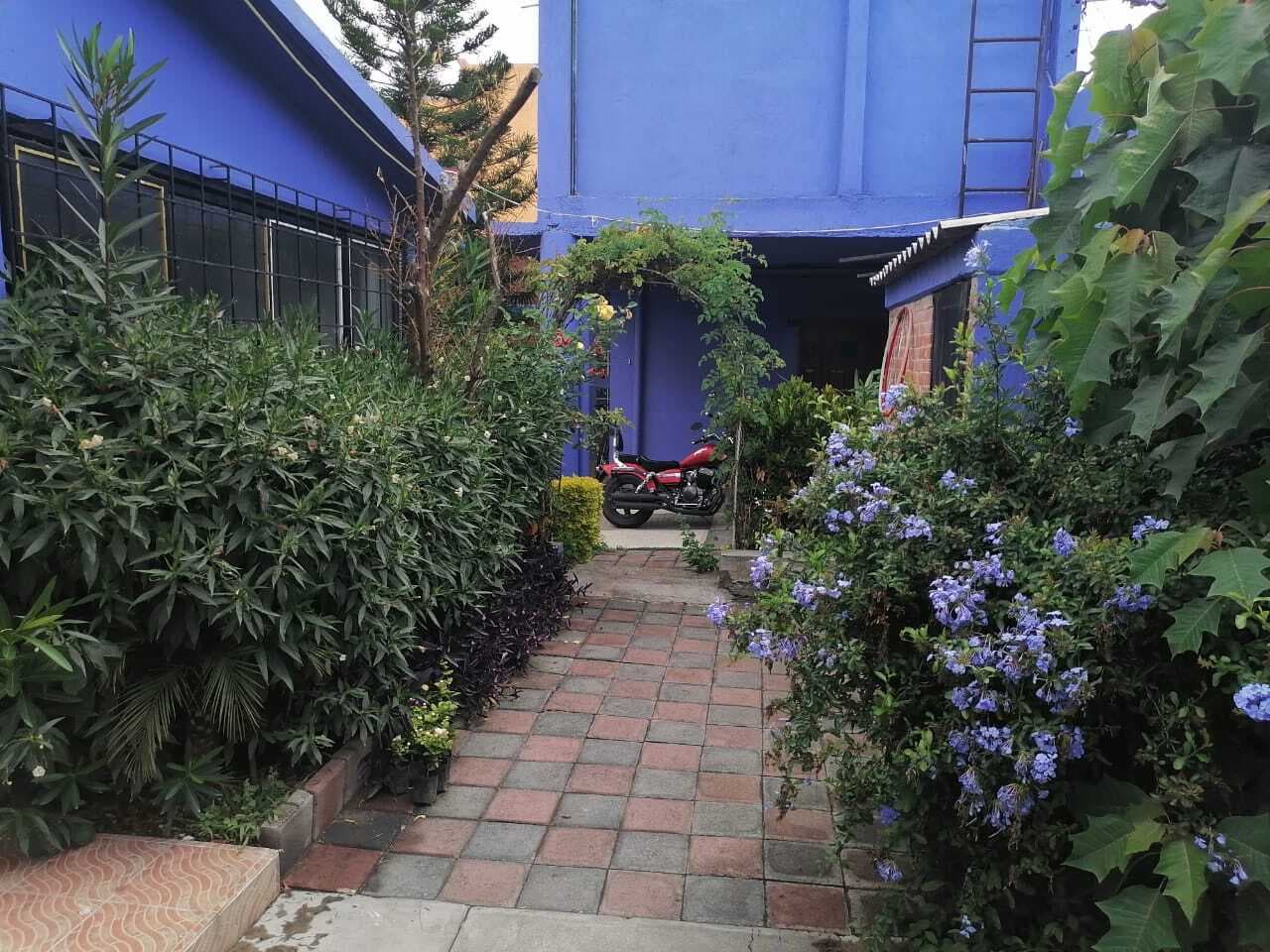 image-21
