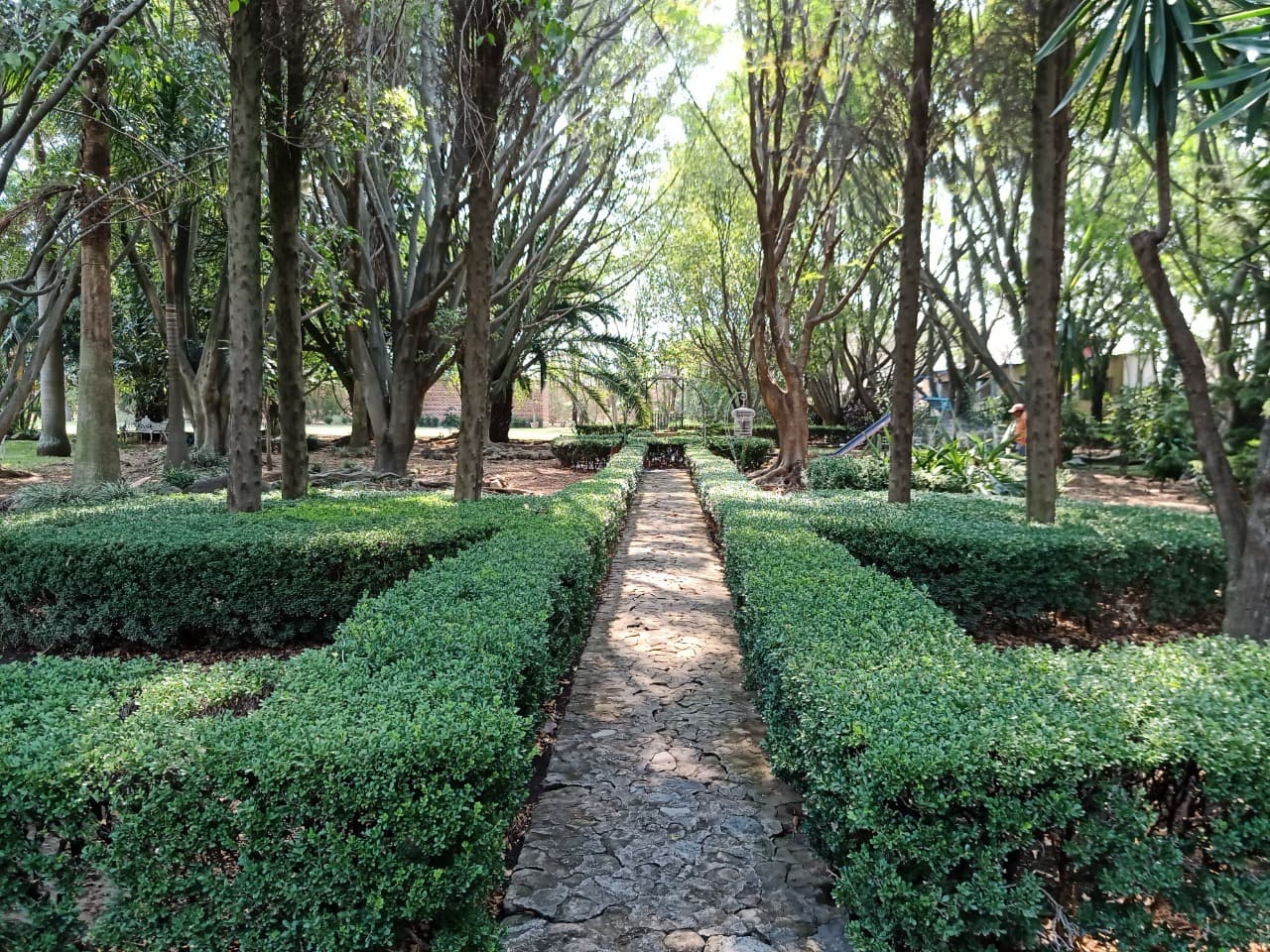 image-5