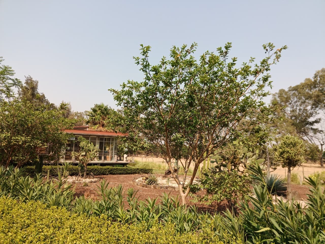 image-8