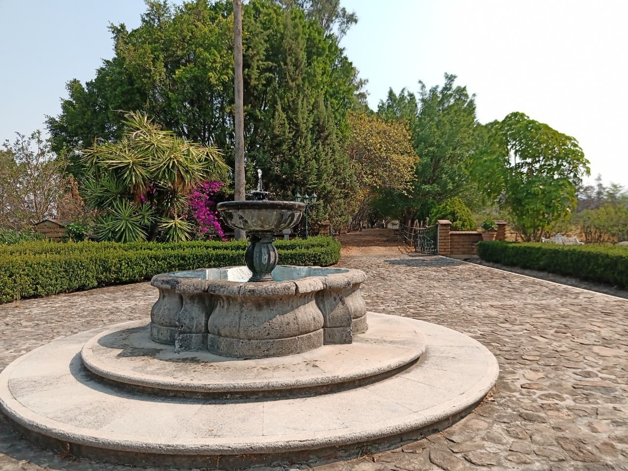 image-26