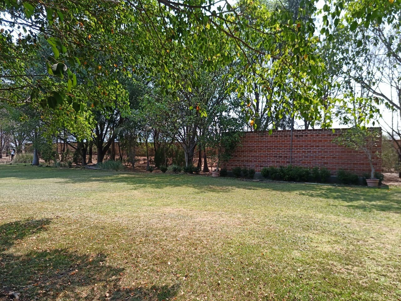 image-36